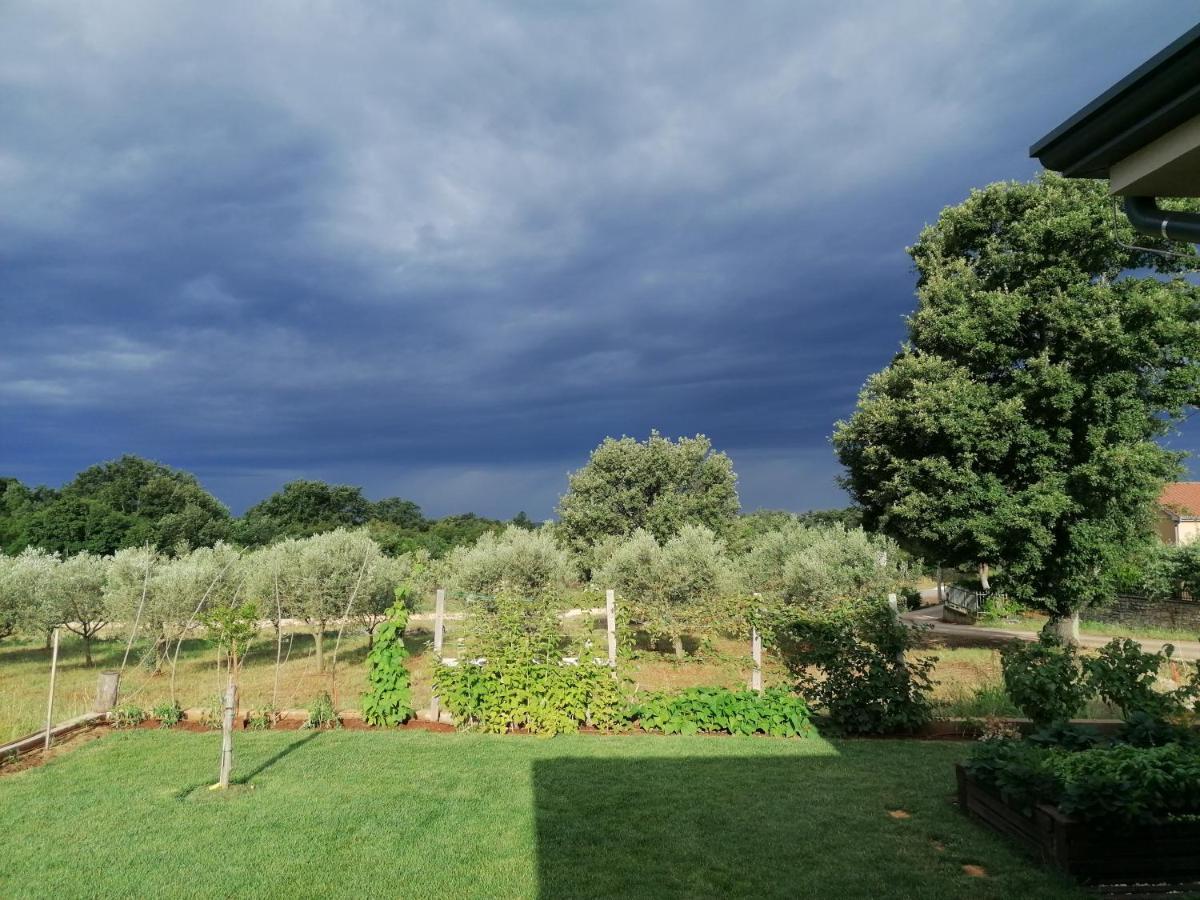 Lavandula Nova Vas  Extérieur photo